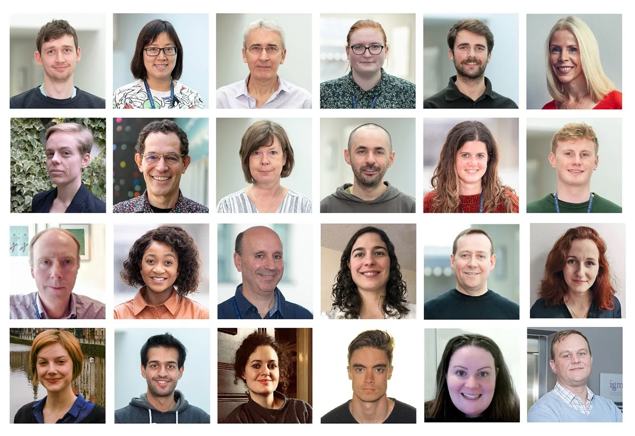 Members of the TestEd project team