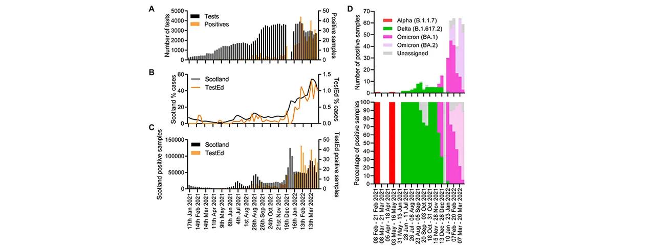 Figure 3. The weekly number of SARS-CoV-2 positive samples detected by the TestEd study correlate with UK wide increases in incidence and waves of variants of concern.